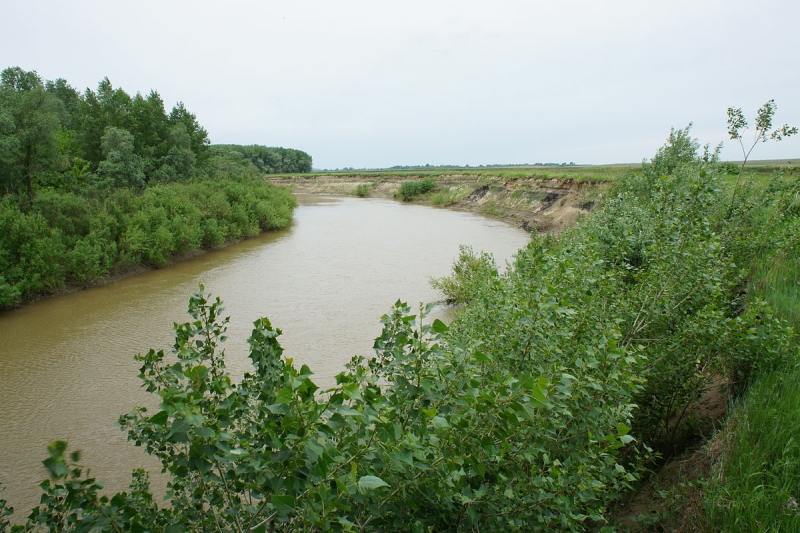 Река Алей.